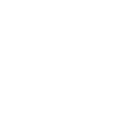 logo_бел_250.png